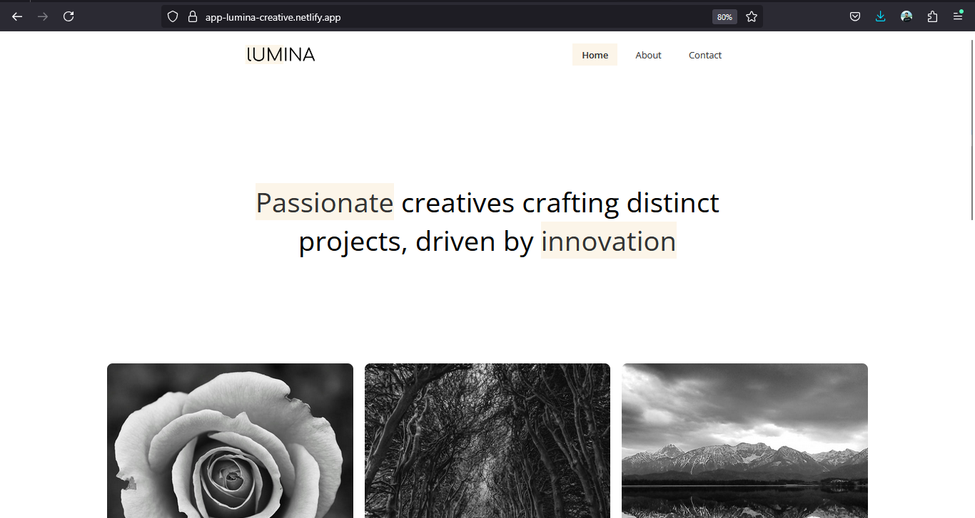 Lumina Project Screenshot